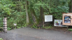 Narusawa Ice Cave Svg+xml,%3Csvg%20xmlns%3D%22http%3A%2F%2Fwww.w3