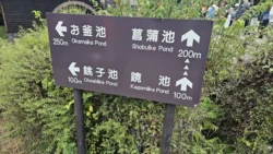 Oshino Hakkai Svg+xml,%3Csvg%20xmlns%3D%22http%3A%2F%2Fwww.w3