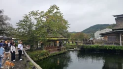 Oshino Hakkai Svg+xml,%3Csvg%20xmlns%3D%22http%3A%2F%2Fwww.w3