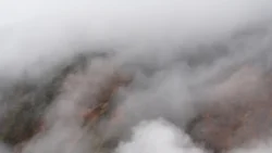 Hakone Ropeway Svg+xml,%3Csvg%20xmlns%3D%22http%3A%2F%2Fwww.w3