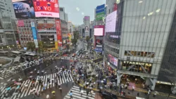 Shibuya Crossing Svg+xml,%3Csvg%20xmlns%3D%22http%3A%2F%2Fwww.w3