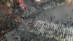 Shibuya Crossing Svg+xml,%3Csvg%20xmlns%3D%22http%3A%2F%2Fwww.w3