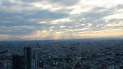 Shibuya Scramble Square Svg+xml,%3Csvg%20xmlns%3D%22http%3A%2F%2Fwww.w3