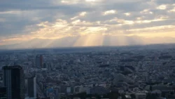 Shibuya Scramble Square Svg+xml,%3Csvg%20xmlns%3D%22http%3A%2F%2Fwww.w3