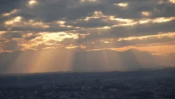 Shibuya Scramble Square Svg+xml,%3Csvg%20xmlns%3D%22http%3A%2F%2Fwww.w3