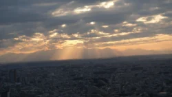 Shibuya Scramble Square Svg+xml,%3Csvg%20xmlns%3D%22http%3A%2F%2Fwww.w3