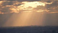 Shibuya Scramble Square Svg+xml,%3Csvg%20xmlns%3D%22http%3A%2F%2Fwww.w3