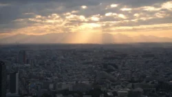 Shibuya Scramble Square Svg+xml,%3Csvg%20xmlns%3D%22http%3A%2F%2Fwww.w3