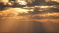 Shibuya Scramble Square Svg+xml,%3Csvg%20xmlns%3D%22http%3A%2F%2Fwww.w3