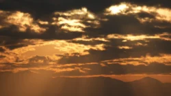 Shibuya Scramble Square Svg+xml,%3Csvg%20xmlns%3D%22http%3A%2F%2Fwww.w3