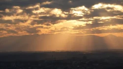 Shibuya Scramble Square Svg+xml,%3Csvg%20xmlns%3D%22http%3A%2F%2Fwww.w3