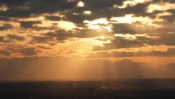 Shibuya Scramble Square Svg+xml,%3Csvg%20xmlns%3D%22http%3A%2F%2Fwww.w3