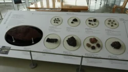 Shizuoka Prefecture Mount Fuji World Heritage Center Svg+xml,%3Csvg%20xmlns%3D%22http%3A%2F%2Fwww.w3