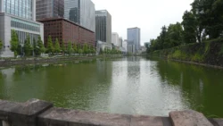 Tokyo Imperial Palace Svg+xml,%3Csvg%20xmlns%3D%22http%3A%2F%2Fwww.w3