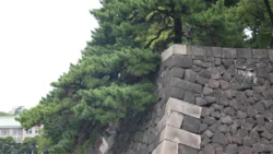 Tokyo Imperial Palace Svg+xml,%3Csvg%20xmlns%3D%22http%3A%2F%2Fwww.w3