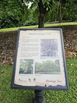 Singapore Botanic Gardens Svg+xml,%3Csvg%20xmlns%3D%22http%3A%2F%2Fwww.w3