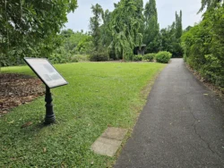 Singapore Botanic Gardens Svg+xml,%3Csvg%20xmlns%3D%22http%3A%2F%2Fwww.w3