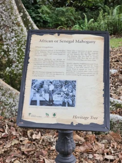 Singapore Botanic Gardens Svg+xml,%3Csvg%20xmlns%3D%22http%3A%2F%2Fwww.w3