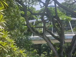 Alexandra Garden Trail Svg+xml,%3Csvg%20xmlns%3D%22http%3A%2F%2Fwww.w3