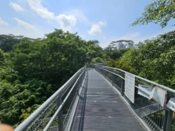 Alexandra Garden Trail Svg+xml,%3Csvg%20xmlns%3D%22http%3A%2F%2Fwww.w3