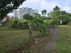 Lower Seletar Reservoir Park Svg+xml,%3Csvg%20xmlns%3D%22http%3A%2F%2Fwww.w3