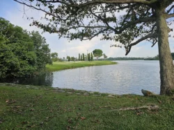 Lower Seletar Reservoir Park Svg+xml,%3Csvg%20xmlns%3D%22http%3A%2F%2Fwww.w3