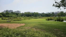 Sengkang Riverside Park Svg+xml,%3Csvg%20xmlns%3D%22http%3A%2F%2Fwww.w3