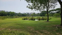 Sengkang Riverside Park Svg+xml,%3Csvg%20xmlns%3D%22http%3A%2F%2Fwww.w3