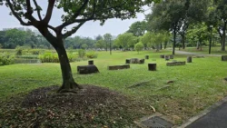 Sengkang Riverside Park Svg+xml,%3Csvg%20xmlns%3D%22http%3A%2F%2Fwww.w3