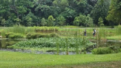 Sengkang Riverside Park Svg+xml,%3Csvg%20xmlns%3D%22http%3A%2F%2Fwww.w3