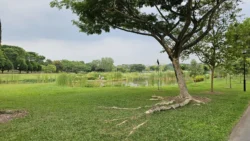 Sengkang Riverside Park Svg+xml,%3Csvg%20xmlns%3D%22http%3A%2F%2Fwww.w3