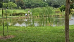 Sengkang Riverside Park Svg+xml,%3Csvg%20xmlns%3D%22http%3A%2F%2Fwww.w3