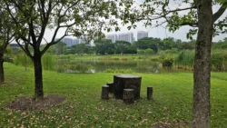 Sengkang Riverside Park Svg+xml,%3Csvg%20xmlns%3D%22http%3A%2F%2Fwww.w3