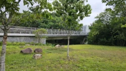 Sengkang Riverside Park Svg+xml,%3Csvg%20xmlns%3D%22http%3A%2F%2Fwww.w3