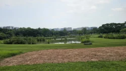 Sengkang Riverside Park Svg+xml,%3Csvg%20xmlns%3D%22http%3A%2F%2Fwww.w3