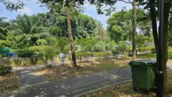 West Coast Park Svg+xml,%3Csvg%20xmlns%3D%22http%3A%2F%2Fwww.w3