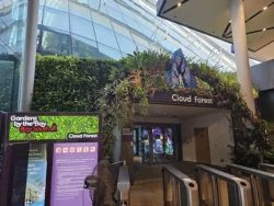 Avatar - The Experience Svg+xml,%3Csvg%20xmlns%3D%22http%3A%2F%2Fwww.w3