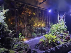 Avatar - The Experience Svg+xml,%3Csvg%20xmlns%3D%22http%3A%2F%2Fwww.w3