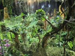 Avatar - The Experience Svg+xml,%3Csvg%20xmlns%3D%22http%3A%2F%2Fwww.w3