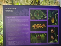 Avatar - The Experience Svg+xml,%3Csvg%20xmlns%3D%22http%3A%2F%2Fwww.w3