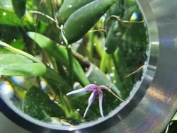 Avatar - The Experience Svg+xml,%3Csvg%20xmlns%3D%22http%3A%2F%2Fwww.w3