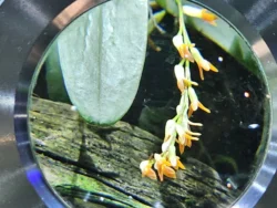 Avatar - The Experience Svg+xml,%3Csvg%20xmlns%3D%22http%3A%2F%2Fwww.w3