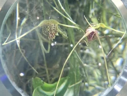 Avatar - The Experience Svg+xml,%3Csvg%20xmlns%3D%22http%3A%2F%2Fwww.w3