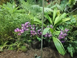 Avatar - The Experience Svg+xml,%3Csvg%20xmlns%3D%22http%3A%2F%2Fwww.w3