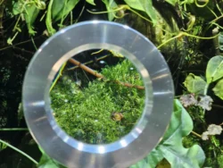 Avatar - The Experience Svg+xml,%3Csvg%20xmlns%3D%22http%3A%2F%2Fwww.w3