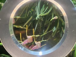 Avatar - The Experience Svg+xml,%3Csvg%20xmlns%3D%22http%3A%2F%2Fwww.w3