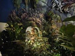 Avatar - The Experience Svg+xml,%3Csvg%20xmlns%3D%22http%3A%2F%2Fwww.w3