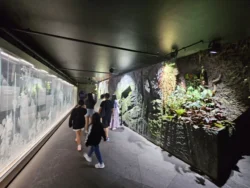 Avatar - The Experience Svg+xml,%3Csvg%20xmlns%3D%22http%3A%2F%2Fwww.w3