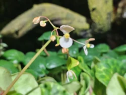 Avatar - The Experience Svg+xml,%3Csvg%20xmlns%3D%22http%3A%2F%2Fwww.w3