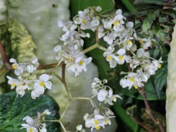 Avatar - The Experience Svg+xml,%3Csvg%20xmlns%3D%22http%3A%2F%2Fwww.w3